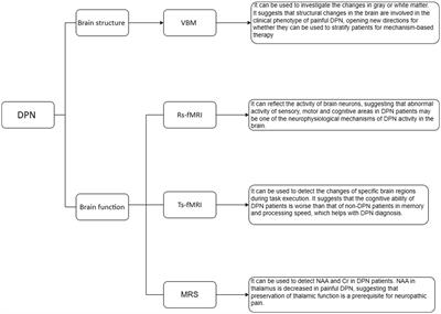 Magnetic resonance imaging on brain structure and function changes in diabetic peripheral neuropathy